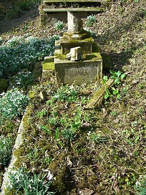 Grave of Lewis Pelly