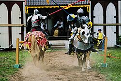 Great Lakes Seaway Trail - Jousting at the Sterling Renaissance Festival - NARA - 7718797.jpg