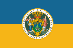 HUN Pécs flag.svg