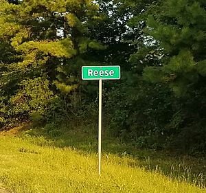 Highway guide sign on the west side of Reese, alongside U.S. Highway 175, looking east.