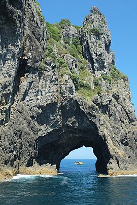 Hole in the Rock at Motukokako Island (Piercy Island)