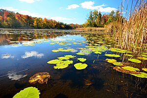 Huiras Lake