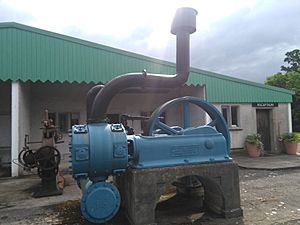 Ingersoll Rand Air Compressor, Imperial Type 10 Duplex.jpg