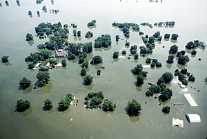 Kaskaskia Island 1993 flooding