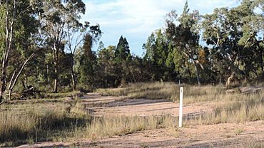 Landscape 2, Somme, Queensland, 2015.JPG