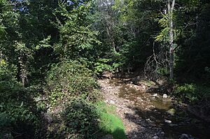 Lawango Run at New Hamburg