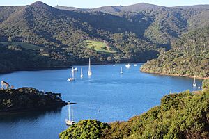 Looking Down at Port Fitzroy Great Barrier Island