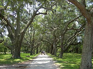 Main Road, Cumberland Island, Georgia, United States