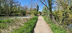 Mesopotamia by the River Cherwell in the English city of Oxford (geograph 8013987).jpg