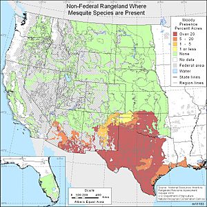 Mesquite Range in the United States