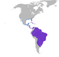 Mycteria americana map