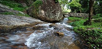 Nam tok huai kaeo 04 lower reaches rainy season