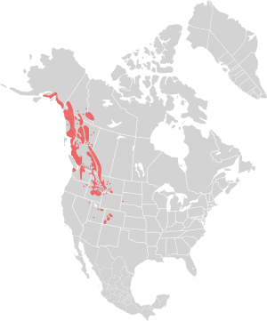 Oreamnos americanus distribution.svg