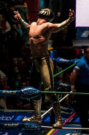 Oro Junior Lucha Libre