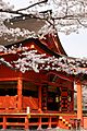 Outer shrine of Fujisan Hongu SengenTaisha (富士山本宮浅間大社) - panoramio