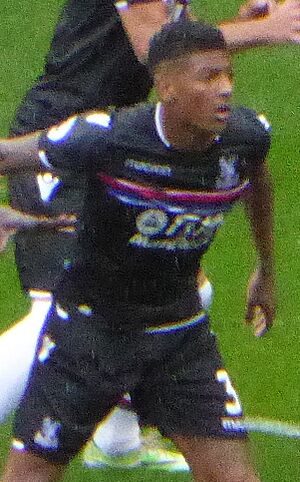 Patrick van Aanholt in 2017 (cropped)