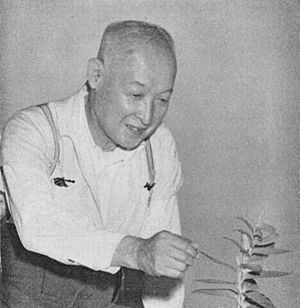 Portrait of Late Mr. Takenoshin Nakai (in Kagoshima, July 1952)