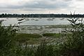 Potter's Reach of the Orwell estuary - geograph.org.uk - 1432814