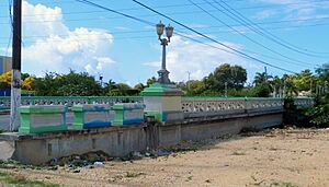 Puente Rio Portugues 3 - Ponce Puerto Rico