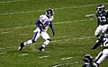 Reggie Wayne 2010