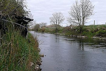 River Clare (Abhainn an Chláir) - geograph.org.uk - 1255253.jpg