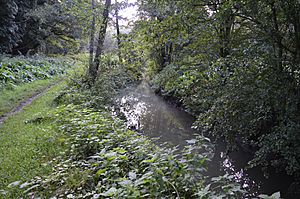 River Flit in Flitwick Moor 3.JPG