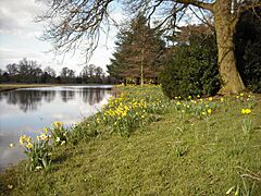 River Sow at Shugborough Hall,