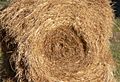 Round hay bale, partially eaten