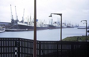 Royal Albert Dock 1973