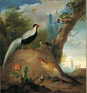 SA 38049-Vogels, schildering uit Keizersgracht 444-446-Dessus de porte