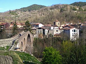 Sant joan de les abadesses (ripollès).jpg