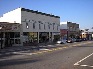 Signage at Forsyth Commerical Historic District