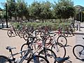 Stanford-bikes