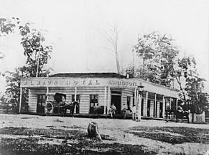 StateLibQld 1 127943 Albion Hotel, Brisbane, ca. 1866