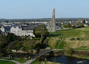 Talbots Castle and Yellow Steeple from Trim Castle