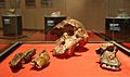 The cranium of an Australopithecus africanus (3967774317)