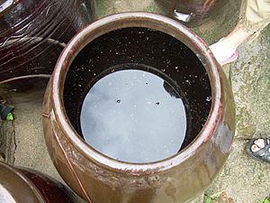 Traditional Korean soy sauce