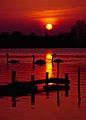 Tring Reservoirs sunset