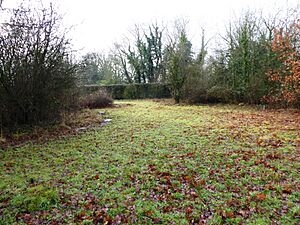 Tyler Hill Meadow 4