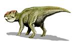 Udanoceratops BW