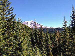 View of Mt Adams from Babyshoe Pass