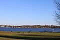 Walter J Hayes State Park Michigan pinic area on Wamplers Lake