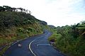 Winding road at El Yunque - panoramio
