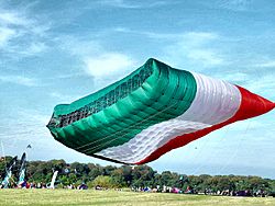 Worlds Largest Kite - Aloft - Taken in 2004
