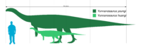 Yunnanosaurus scale.svg