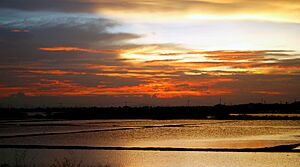 01Thoothukudi - Salt Pan