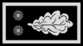 03 02 Comisario