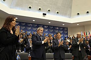 2010 Unasur summit