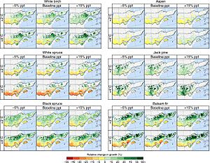 2018 boreal tree species trends