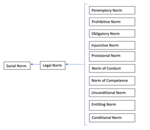 An example of an ontological model for legal norms